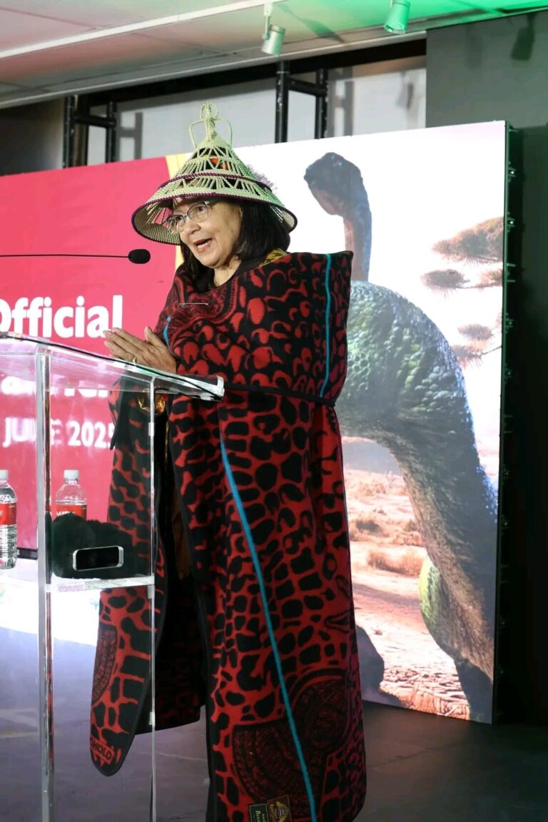 Minister of Tourism Patricia de Lille
