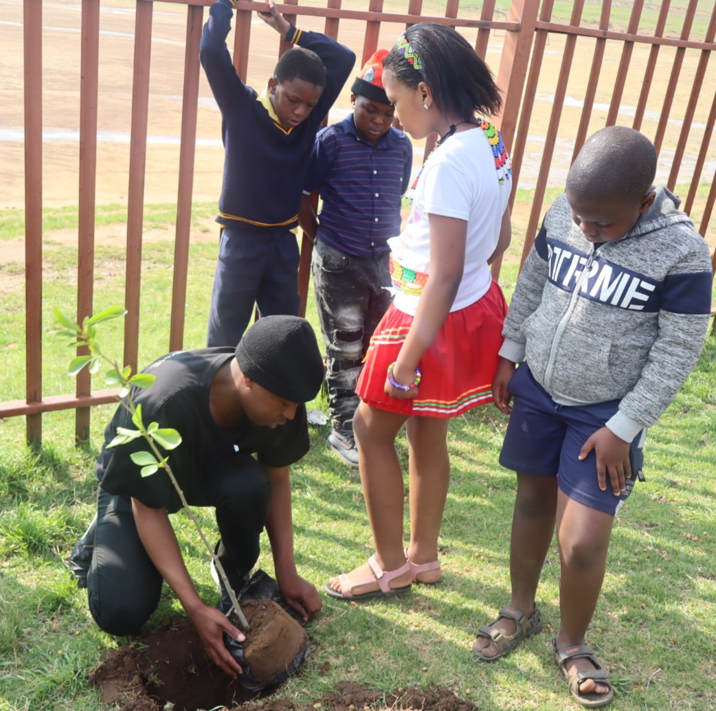Busamed Harrismith Private Hospital staff planting trees at Boipopo Intermediate school in Tshiame